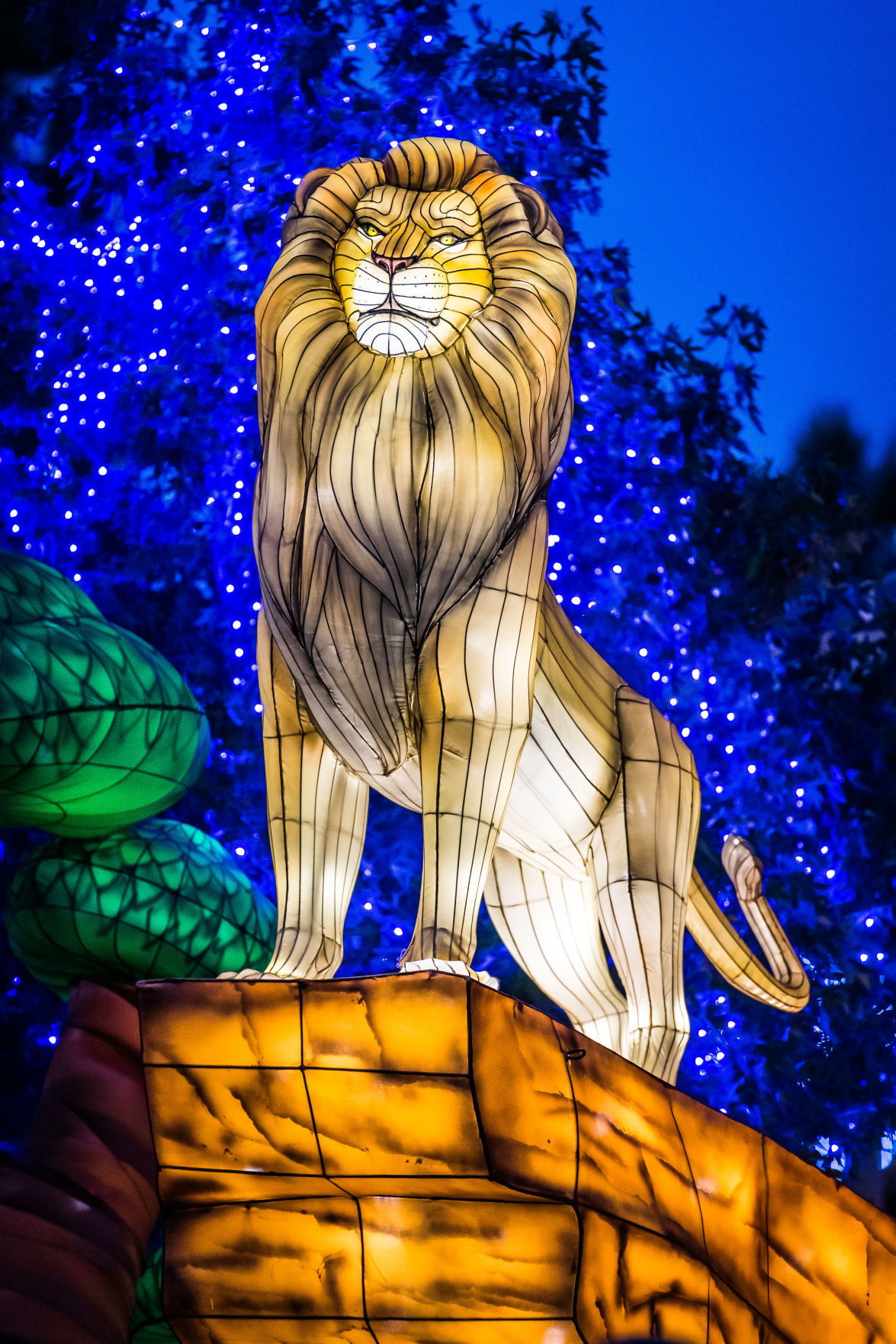 Lantern Festival